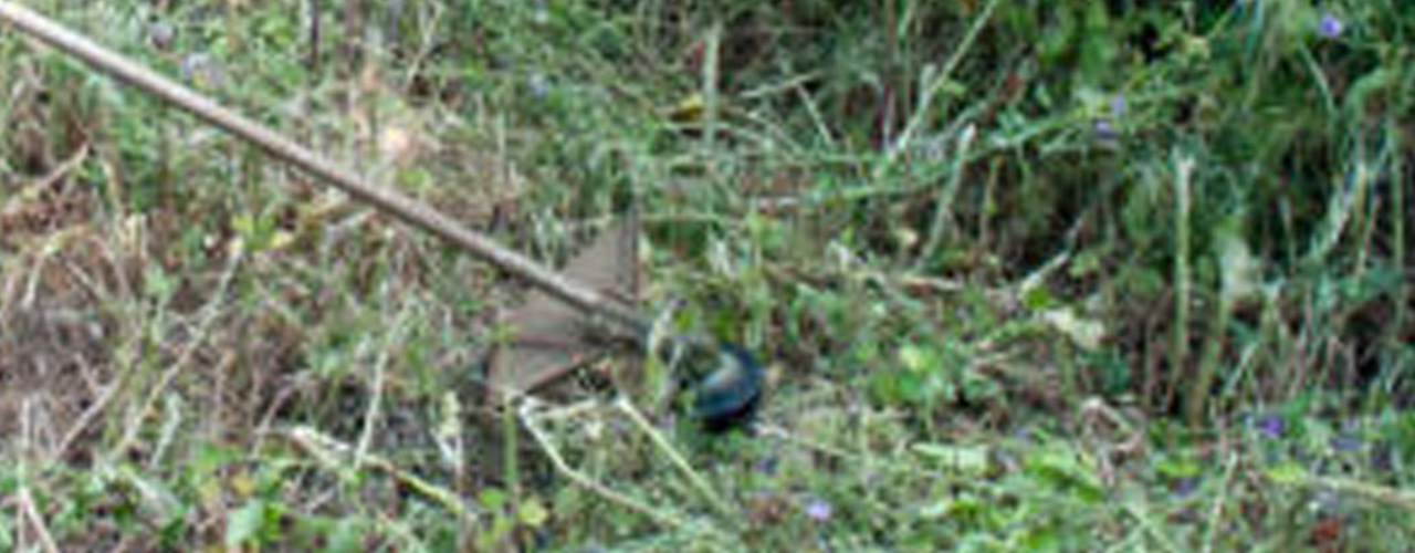 Fifth slide image